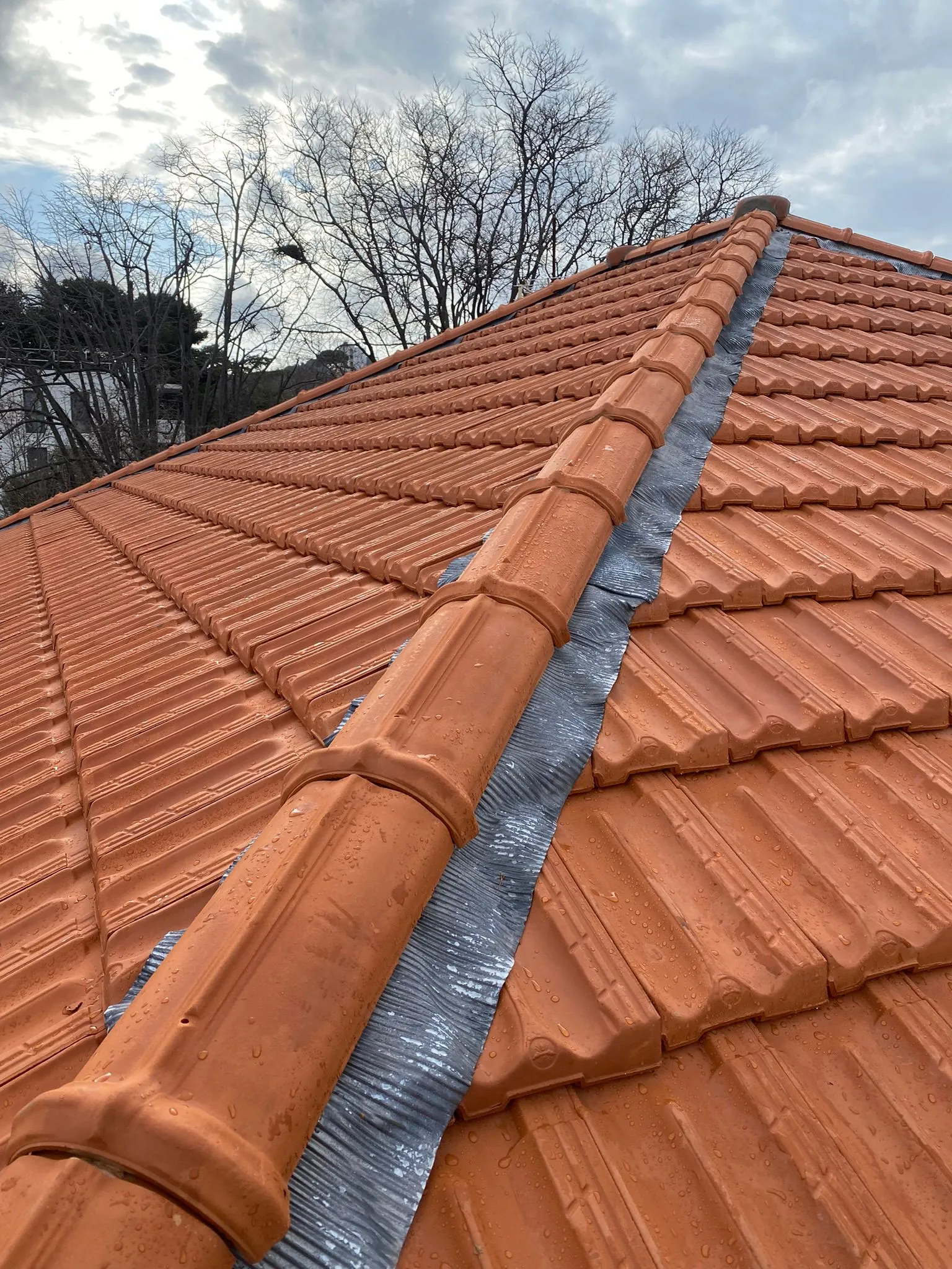 Toiture neuve avec faîtage et closoir ventilé